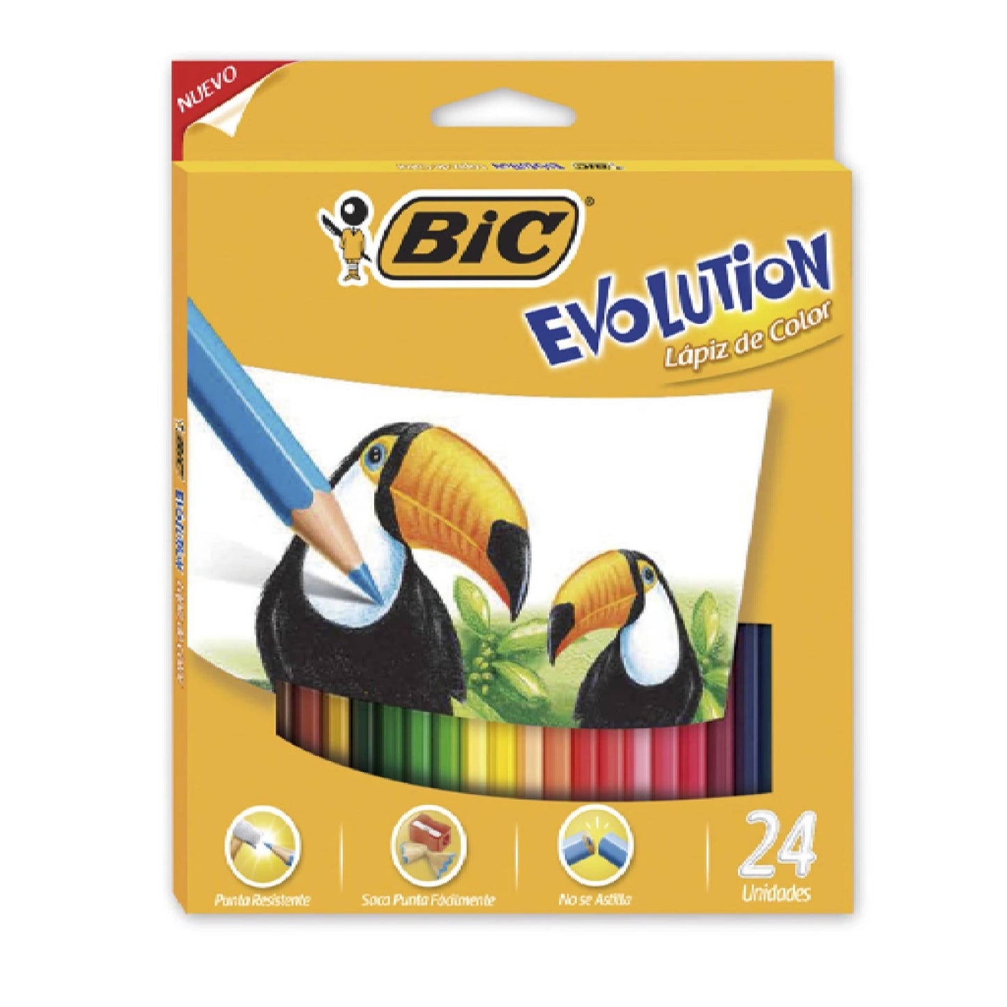 Lapiz Color Bic Evolution Largos X 24