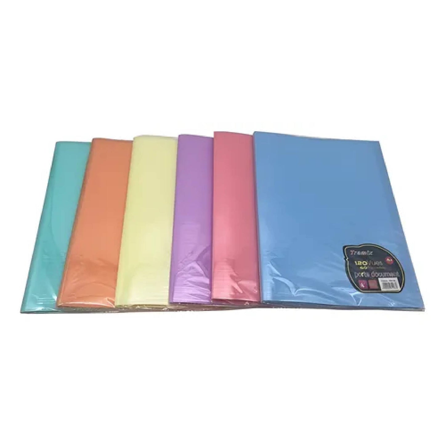 Carpeta Plastica A4 Con 60 Folios