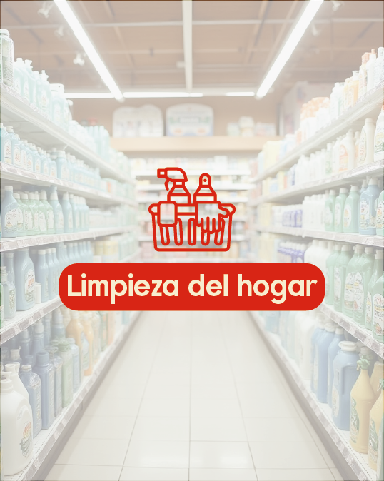Limpieza Del Hogar